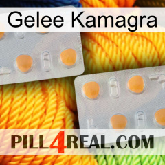 Jelly Kamagra 25